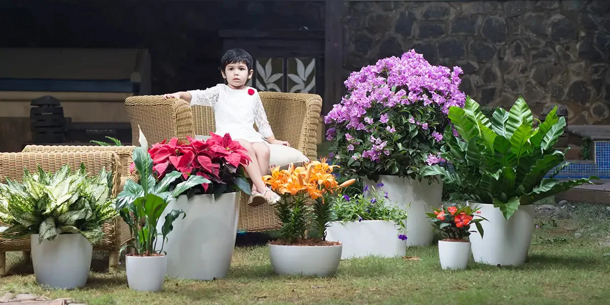 Planter Pot Types: What’s Best for Your Garden? - Decor Medley